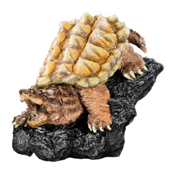 Amazon.co.jp: カミツキガメ（ハイポ）フィギュア 巨頭 爬虫類