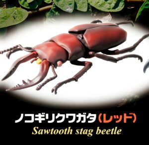 【ノコギリクワガタ レッド】 モデリングビートルズ 2nd