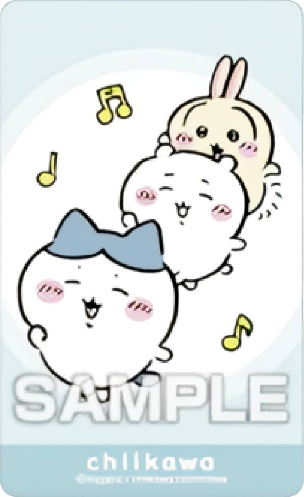 ڤϥ  ǥƥå4 Ĥ ƥåΤ