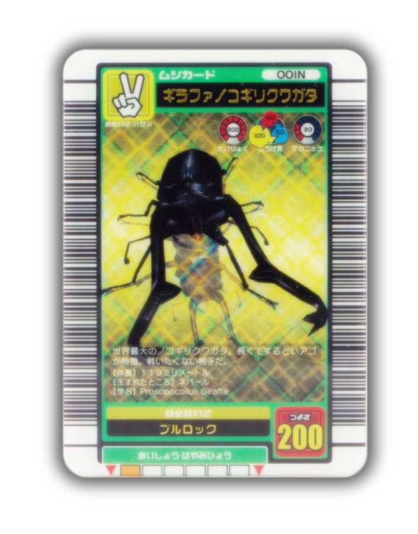 楽天市場】ギラファノコギリクワガタ ムシキングの通販
