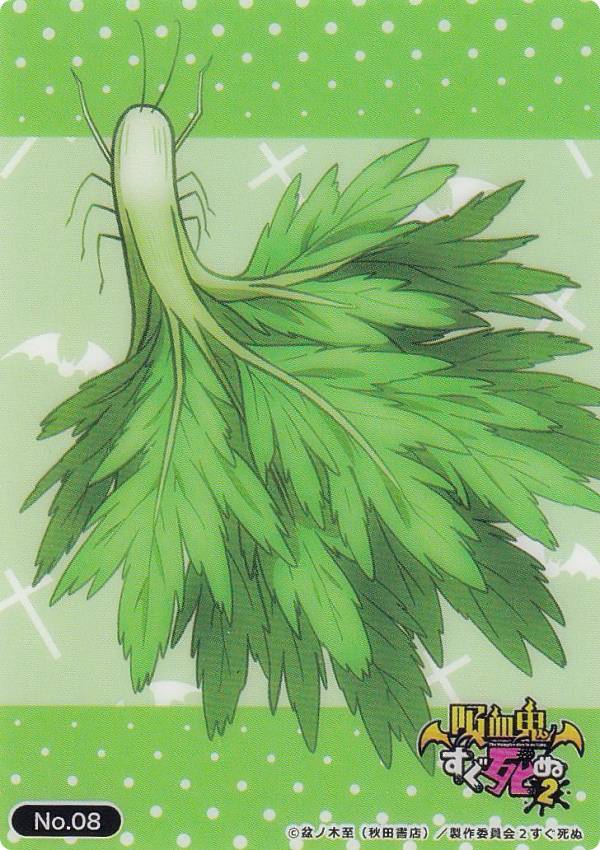 【No.08 セロリ】 トレーディングカード コレクションクリア 吸血鬼すぐ死ぬ2