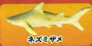 【ネズミザメ】海洋生物大集合 ミニフィギュアコレクション 〜tropical version〜