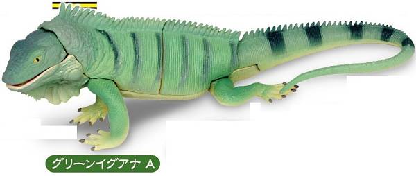 【グリーンイグアナ A】あそべる生物フィギュアシリーズ トカゲキングダムII