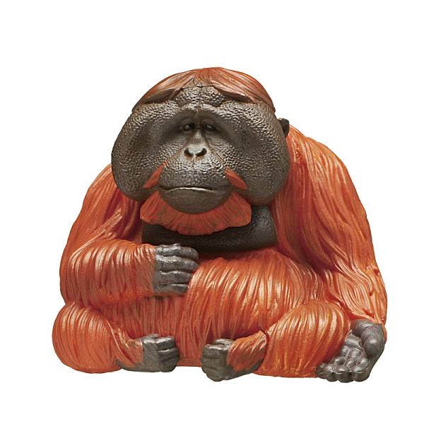 楽天市場】オランウータンフィギュアの通販