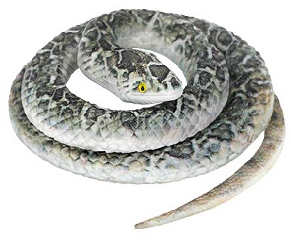 【D】蛇の世界-スネークコレクション-