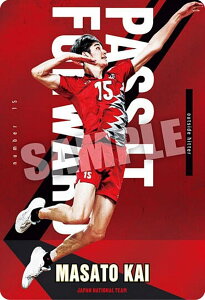 【1-15 甲斐優斗 (ノーマル) 】JAPAN NATIONAL VOLLEYBALL TEAM ツインウエハース