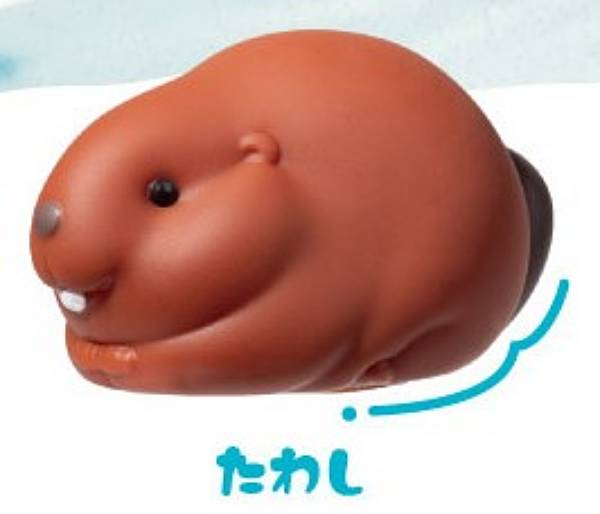 【たわし】ぷかっこ ビーバー