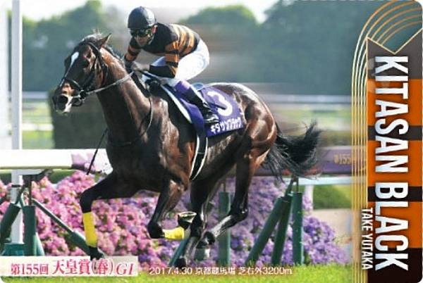 REALiZEۥӡȥ쥫2Ź㤨֡No.2-009.֥å 155ŷľ((GIۥ֥åɥۡ쥯 ĥ󥦥ϡ 2RפβǤʤ348ߤˤʤޤ