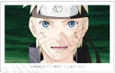 【うずまきナルト】NARUTO-ナルト- 疾風伝 ミニフォトコレクション Vol.1