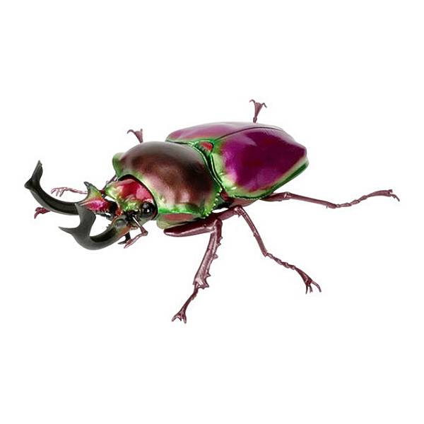 【ニジイロクワガタ（レッド）】いきもの大図鑑 くわがた10のサムネイル