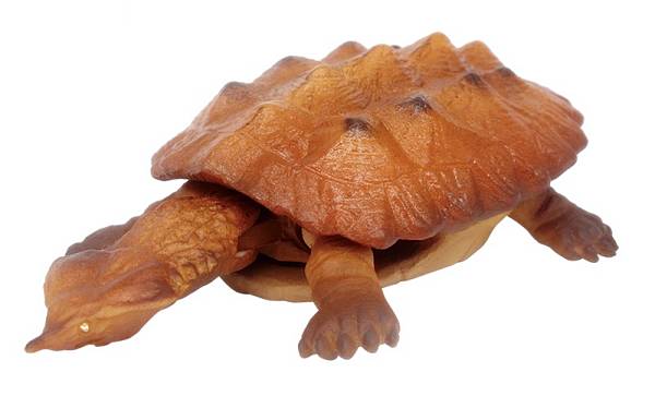 【マタマタ A】 あそべる生物フィギュアシリーズ 世界の亀たち2