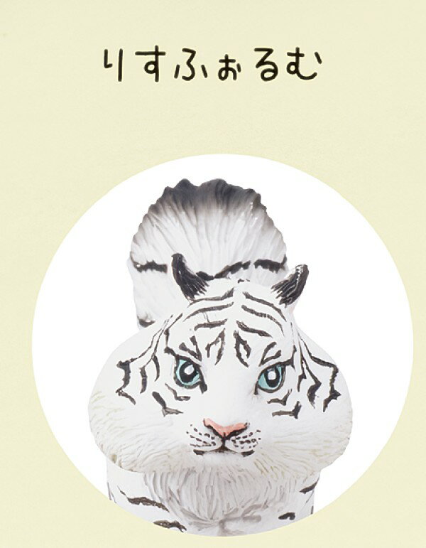 【りすふぉるむ（ホワイト）】 トラんすふぉーむ