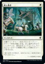 マジックザギャザリング ELD JP 023 出し抜き (日本語版コモン) エルドレインの王権 Throne of Eldraine(3)