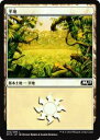 マジック・ザ・ギャザリング M19 JP 262 平地(日本語版基本土地) 基本セット Core 2019 ボックス収録 MTG
