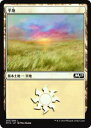 マジック・ザ・ギャザリング M19 JP 263 平地(日本語版基本土地) 基本セット Core 2019 ボックス収録 MTG