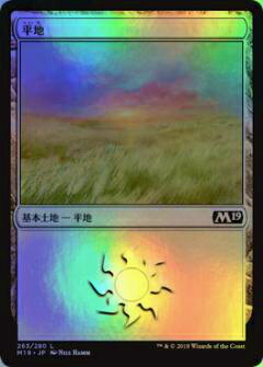 マジック・ザ・ギャザリング M19 JP 263 平地(日本語版基本土地 FOIL) 基本セット Core 2019 ボックス収録 MTG