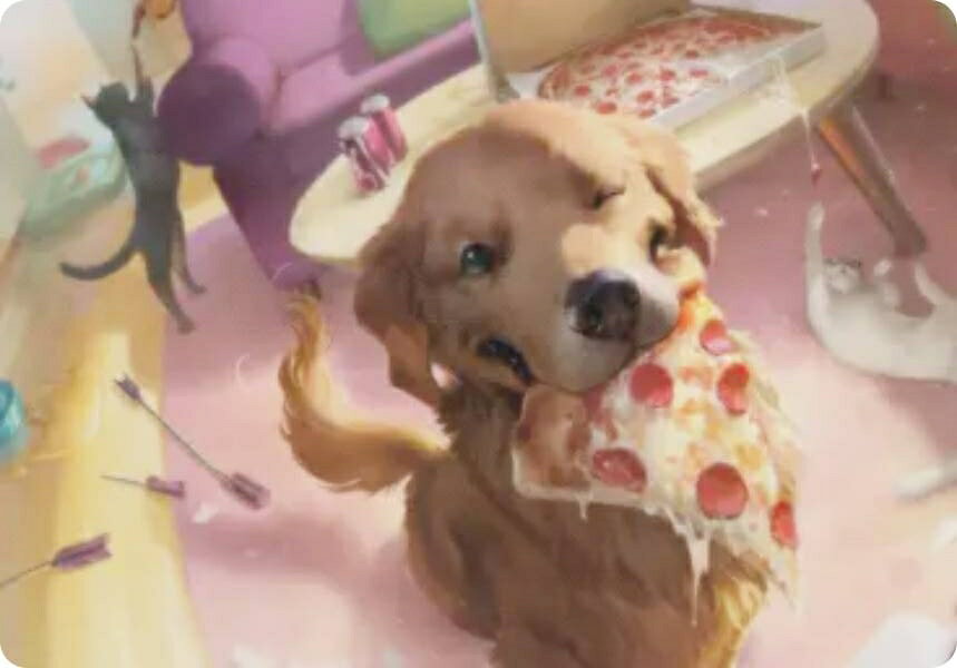 楽天市場】mtg 犬の通販