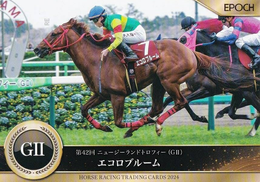 REALiZEۥӡȥ쥫2Ź㤨֥ۡ졼 ȥ졼ǥ󥰥 36 ֥롼 (쥮顼/2024ǯȾžͥ/˥塼T ݥå 2024ȾԡפβǤʤ100ߤˤʤޤ