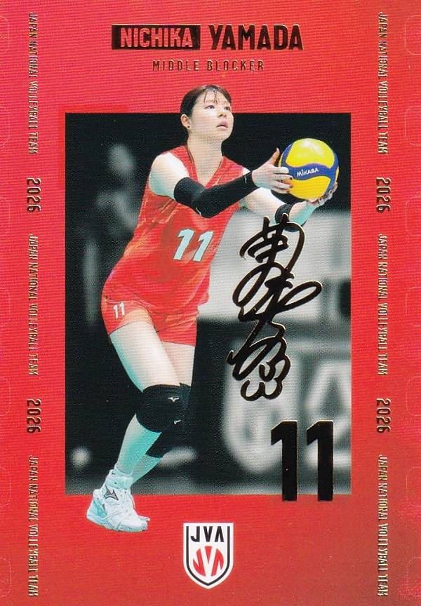 楽天市場】バレーボール 女子 日本 代表の通販
