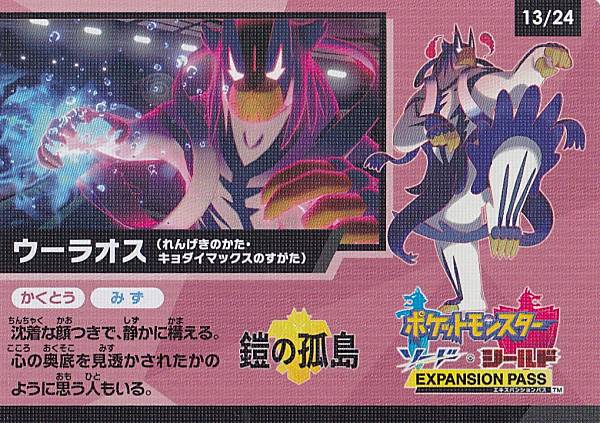 ݥ󥫡ɥ 13/24 饪(󤲤ΤޥåΤ) åȥ ڡ󥫡 ϥ饹ѥå 㥤ˡV