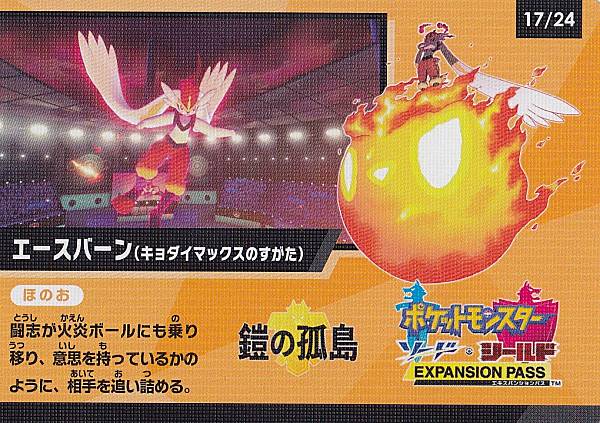 ݥ󥫡ɥ 17/24 С(ޥåΤ) åȥ ڡ󥫡 ϥ饹ѥå 㥤ˡV