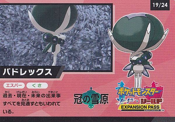 ݥ󥫡ɥ 19/24 Хɥå(ޥåΤ) åȥ ڡ󥫡 ϥ饹ѥå 㥤ˡV