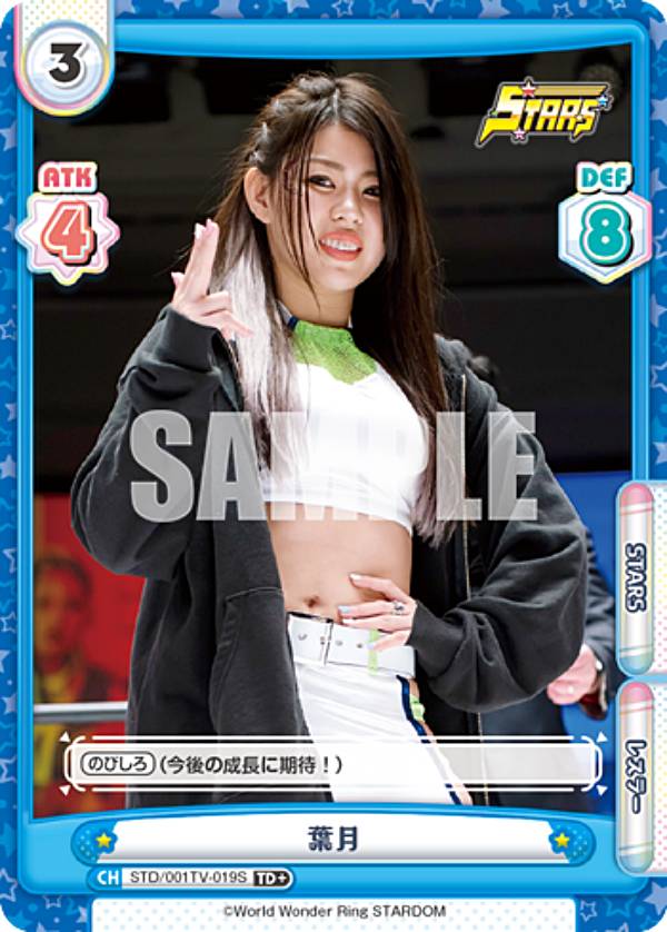 Re�С��� STD/001TV-019S �շ� (TD��) �ȥ饤����ǥå� �Хꥨ������� STARDOM ver.STARS