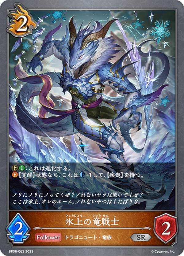 ɥС ܥ BP06-063 ɹε (SR С쥢) ֡ѥå6 ФʤƼ