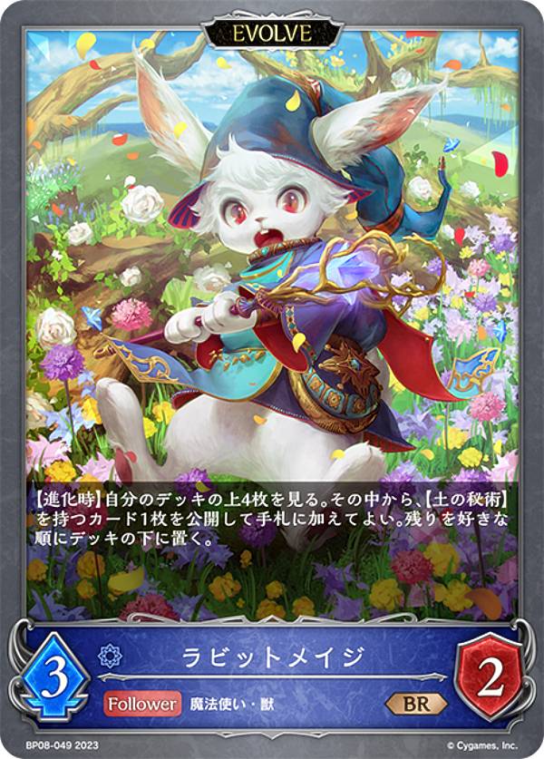 ����ɥ��С��� ���ܥ�� BP08-049 ��ӥåȥᥤ�� (BR �֥��󥺥쥢) �֡��������ѥå���8�� ��������