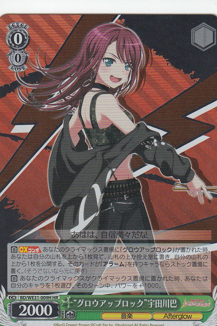  BD/WE31-009H ȥåץåɱ (HR ϥ쥢) ڥѥå Хɥꡪ 륺Хɥѡƥ