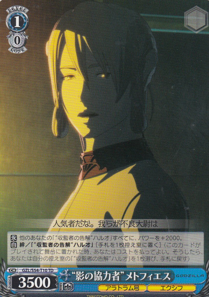 REALiZEۥӡȥ쥫2Ź㤨֥ GZL/S54-T10 ȱƤζϼԡɥȥե(TDڿʡۡפβǤʤ30ߤˤʤޤ