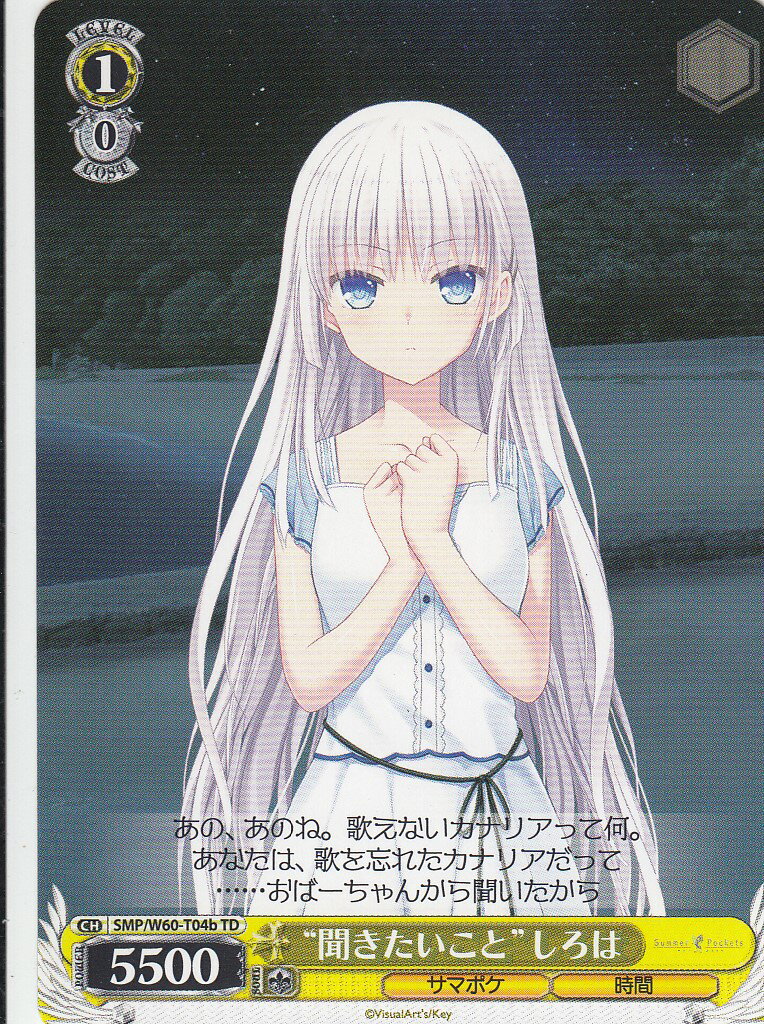 smpw60td00007.jpg