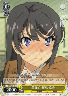  SBY/W64-016 ѿ   (C ) ֡ѥå Ľե֥ϺϥХˡڤ̴򸫤ʤ