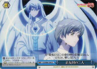 REALiZEۥӡȥ쥫2Ź㤨֥ CCS/W66-100 ȿФ (CC 饤ޥå ֡ѥå ɥץ ꥢԡפβǤʤ30ߤˤʤޤ