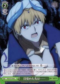 바이스슈발츠 FGO/S75-048 깨어난 곳은…