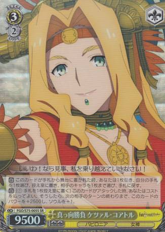 ヴァイスシュヴァルツFGO/S75...