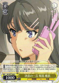 REALiZEۥӡȥ쥫2Ź㤨֥ SBY/W77-008 դΰ   (U 󥳥 ֡ѥå Ľե֥ϺϤߤ뾯̴򸫤ʤפβǤʤ30ߤˤʤޤ