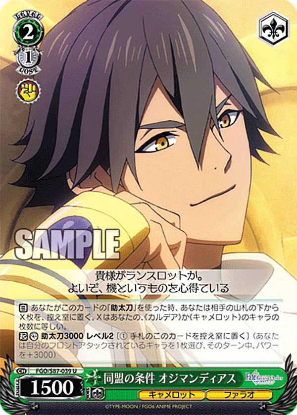 ヴァイスシュヴァルツFGO/S87...