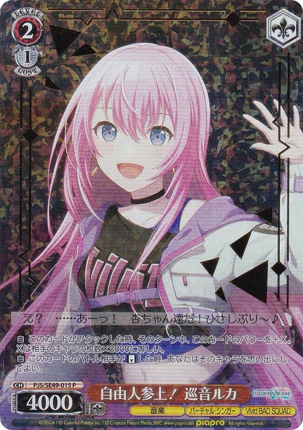  PJS/SE49-015 ͳͻ塪 䲻륫 (P) 쥯ѥå ץȥ ե륹ơ feat. 鲻ߥ