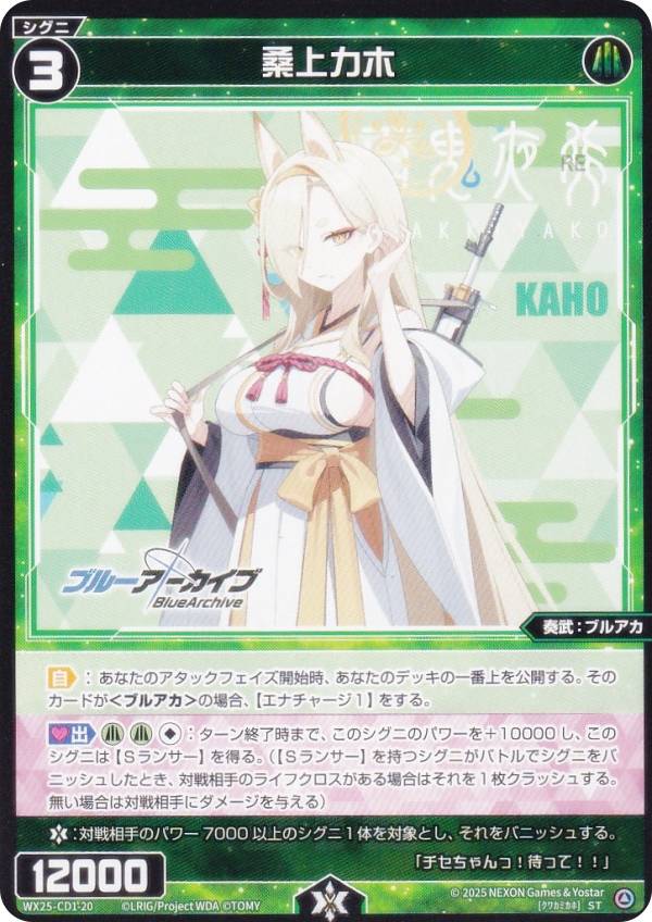 ���������� WX25-CD1-20 ���奫�� (ST) ���ۺѤߥǥå� �֥롼����������