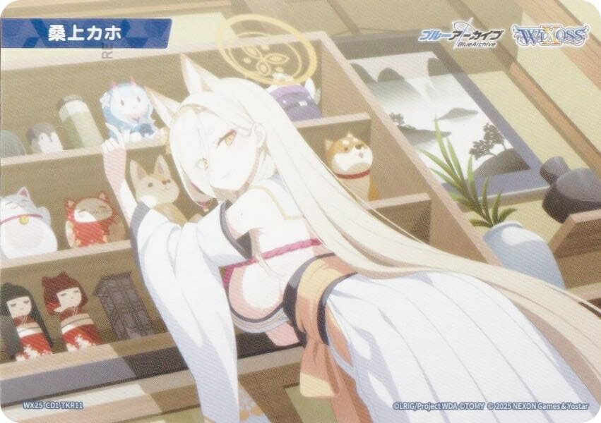 ���������� WX25-CD1-TKR11 ���奫�� (TK �ȡ�����) ���ۺѤߥǥå� �֥롼����������