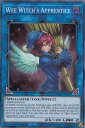 遊戯王 CYHO-EN049 見習い魔嬢 Wee Witch's Apprentice(英語版 1st Edition スーパーレア) サイバネティック・ホライゾン(3)