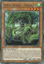 遊戯王 RIRA-EN015 天威龍−ナハタ Tenyi Spirit - Nahata (英語版 1st Edition レア) Rising Rampage