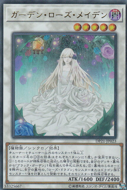 dp21jp00023.jpg