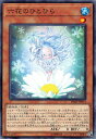 【プレイ用】 遊戯王 DBSS-JP014 六花のひとひら (日本語版 ノーマル) シークレット・スレイヤーズ 【中古】