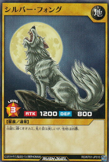 ͷ åǥ奨 RD/KP01-JP010 Сե (ܸ Ρޥ) ǥå¤ѥå Ķ®Υå!!