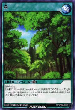 ͷ åǥ奨 RD/KP03-JP053  (ܸ 쥢) ǥå¤ѥå Υߥ顼奤ѥ!!