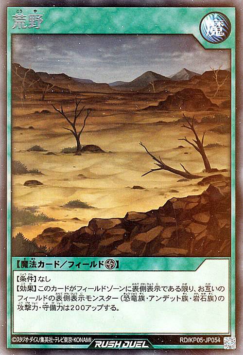 ͷ åǥ奨 RD/KP05-JP054  (ܸ 쥢) ǥå¤ѥå ưΥʥ饤֡