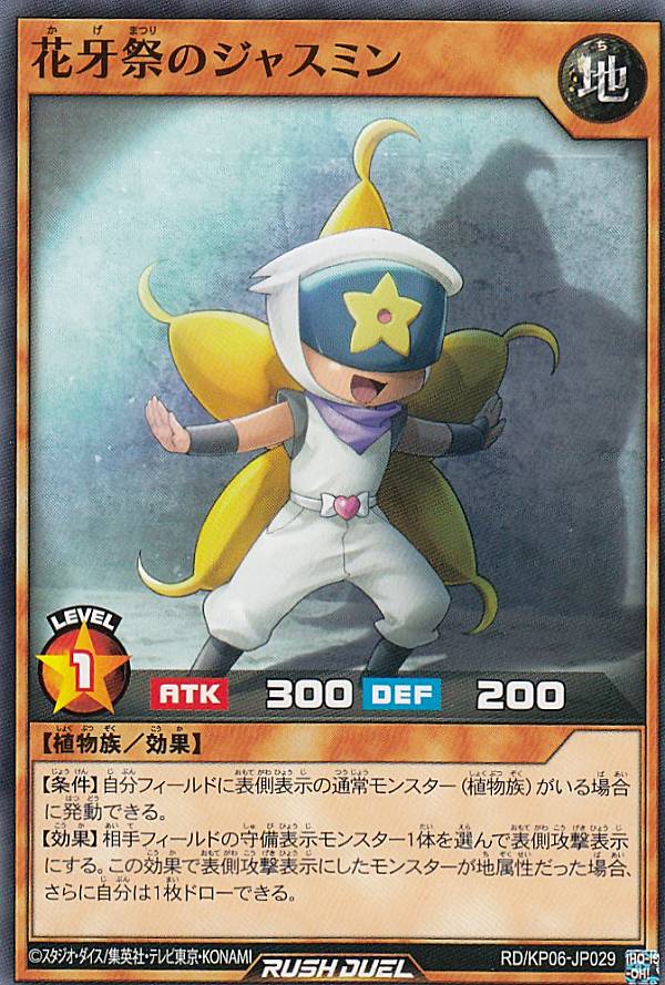 ͷ åǥ奨 RD/KP06-JP029 ֲפΥ㥹ߥ (ܸ Ρޥ) ǥå¤ѥåƮΥȡ!!