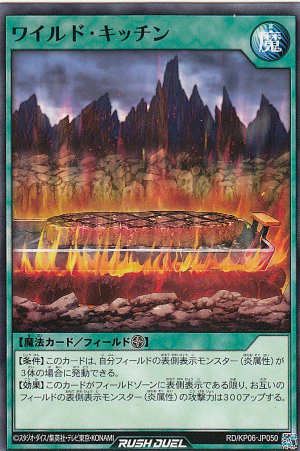 ͷ åǥ奨 RD/KP06-JP050 磻ɡå (ܸ Ρޥ) ǥå¤ѥåƮΥȡ!!